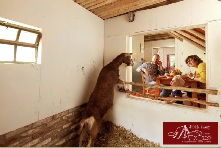 Keuterij Deluxe Drostenveen aan het Nationaal Park Dwingelderveld HW268